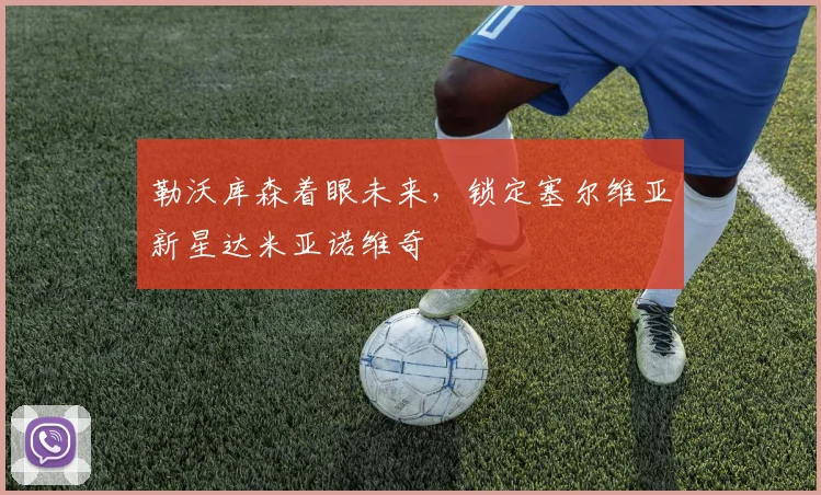 勒沃库森着眼未来，锁定塞尔维亚新星达米亚诺维奇