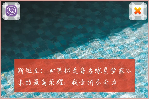 斯坦丘:世界杯是每名球员梦寐以求的最高荣耀,我会拼尽全力