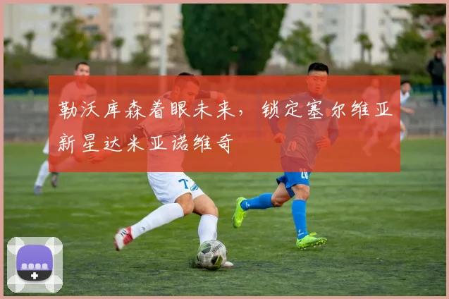 勒沃库森着眼未来，锁定塞尔维亚新星达米亚诺维奇