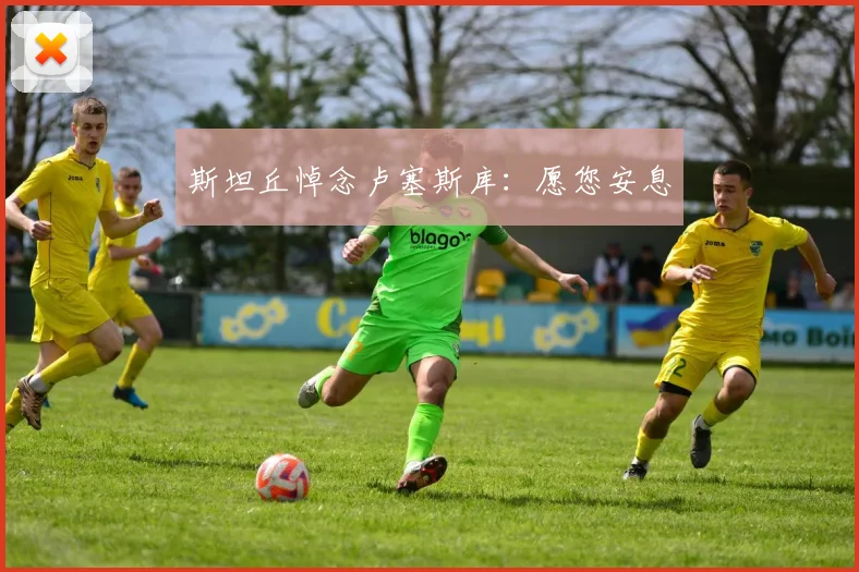 斯坦丘悼念卢塞斯库：愿您安息